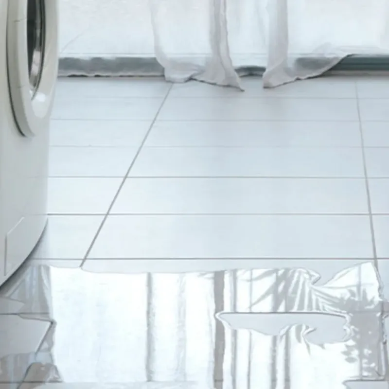 Appliance Leak Cleanup in Coldwater, MS