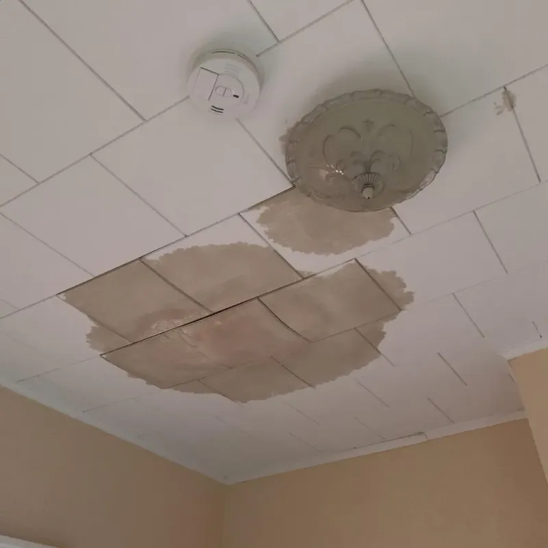 Ceiling Water Damage Repair in Coldwater, MS