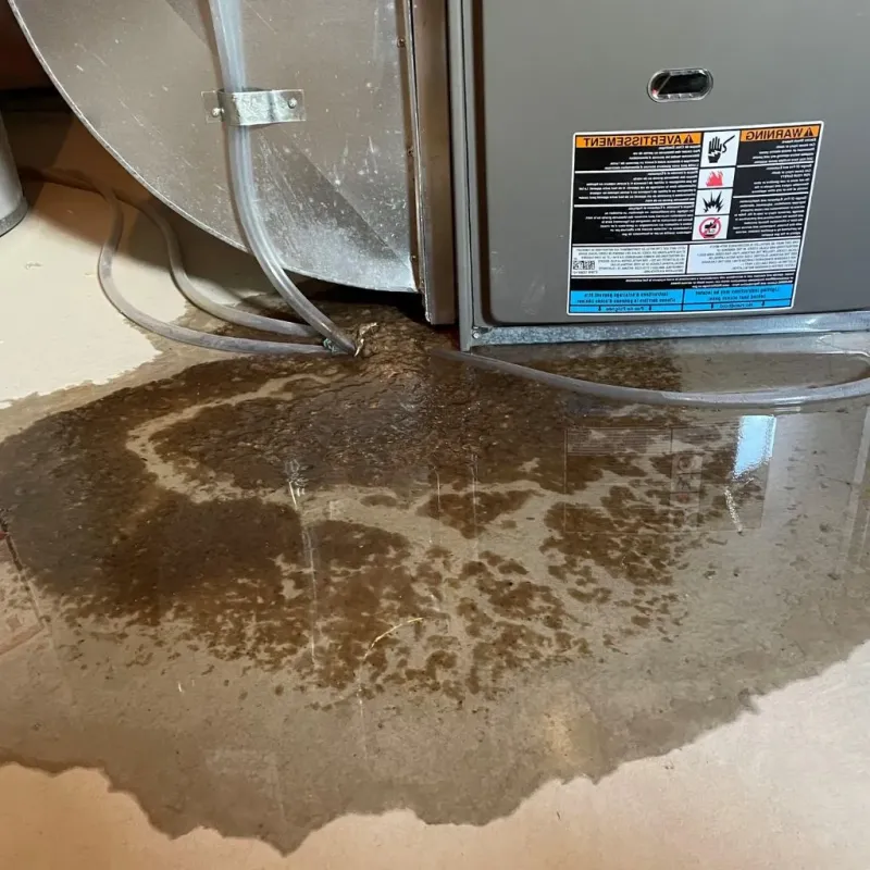 Pipe Burst and Leak Restoration in Coldwater, MS