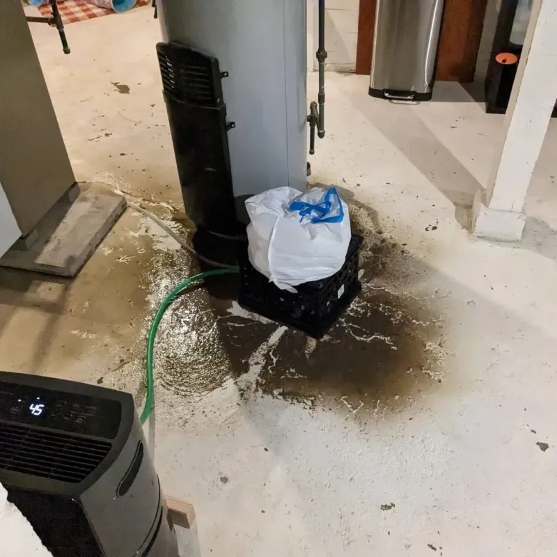 Sewage Backup Cleanup Service in Coldwater, MS